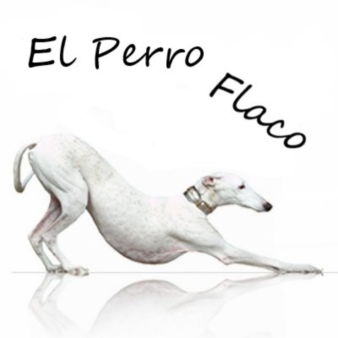 elperroflaco.jpg